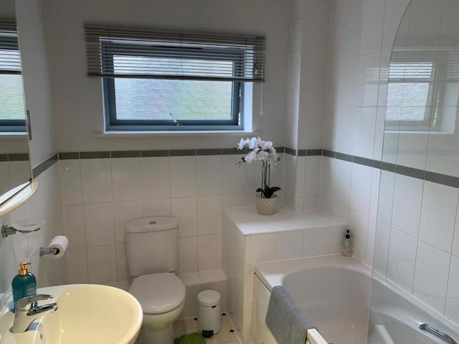 Brownberry Tree Serviced Apartment CBG Extérieur photo